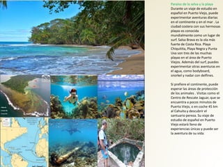 Paraíso de la selva y la playa
Durante un viaje de estudio en
español en Puerto Viejo, puede
experimentar aventuras diarias
en el continente y en el mar . La
ciudad costera con sus hermosas
playas es conocida
mundialmente como un lugar de
surf. Salsa Brava es la ola más
fuerte de Costa Rica. Playa
Chiquitita, Playa Negra y Punta
Uva son tres de las muchas
playas en el área de Puerto
Viejos. Además del surf, puedes
experimentar otras aventuras en
el agua, como bodyboard,
snorkel y nadar con delfines.
Si prefiere el continente, puede
esperar las áreas de protección
de los animales . Visitas como el
Centro de Rescate Jaguar, que se
encuentra a pocos minutos de
Puerto Viejo, o en coche 45 km
al Cahuita y descubrir el
santuario pereza. Su viaje de
estudio de español en Puerto
Viejo estará lleno de
experiencias únicas y puede ser
la aventura de su vida.
 