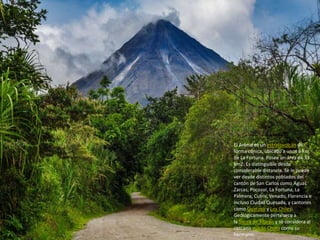 El Arenal es un estratovolcán de
forma cónica, ubicado a unos 8 km
de La Fortuna. Posee un área de 33
km2. Es distinguible desde
considerable distancia. Se le puede
ver desde distintos poblados del
cantón de San Carlos como Aguas
Zarcas, Pocosol, La Fortuna, La
Palmera, Cutris, Venado, Florencia e
incluso Ciudad Quesada, y cantones
como Guatuso y Los Chiles.
Geológicamente pertenece a
la Sierra de Tilarán y se considera al
cercano volcán Chato como su
hermano.
 
