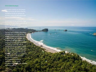 Diversidad de playas
Esta zona cuenta con las playas
más hermosas de arena blanca,
senderos donde se aprecia de
primera mano la naturaleza que
ofrece el bosque tropical.
La entrada de los vehículos llega
hasta la tercera playa y permite el
acceso de personas con
discapacidad en cumplimiento de
la ley 7600.
Las tres más visitadas son: Playa
Espadilla Sur: que cuenta con un
oleaje un poco fuerte, pero no es
peligrosa para los bañistas. Su
longitud es de 800 metros y se
encuentra en una bahía. La playa
de Puerto Escondido que es
relativamente pequeña y cuenta
con 80 metros de longitud. Y por
último la playa Manuel Antonio:
una de las más seguras para los
bañistas, con oleaje poco fuerte y
en donde se puede practicar
mejor el snorkeling,
principalmente hacia los
extremos, por las rocas,
encontrándose aquí gran cantidad
de fauna marina.
 