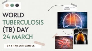 WORLD
TUBERCULOSIS
(TB) DAY
24 MARCH
- B Y S H A I L E S H S A N G L E
TUBERCULOSIS
REPORT
 