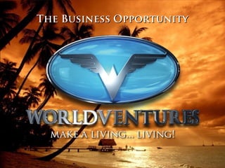 The Business OpportunityThe Business Opportunity
 
