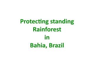 Protec+ng standing 
    Rainforest  
        in  
   Bahia, Brazil 
 