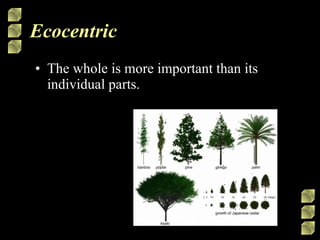 Ecocentric The whole is more important than its individual parts. 