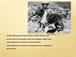  20,000 dogs helped frontline soldiers used by allied troops.
 carried aid to the wounded, delivered messages, pulled along
vital equipment and sniffed out enemy soldiers.
 War Dog School of Instruction in Hampshire were established
by war office.
 