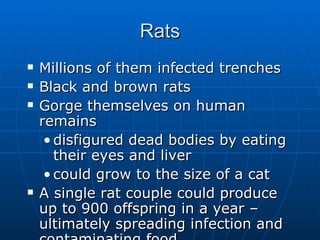 Rats Millions of them infected trenches Black and brown rats Gorge themselves on human remains disfigured dead bodies by eating their eyes and liver could grow to the size of a cat  A single rat couple could produce up to 900 offspring in a year – ultimately spreading infection and contaminating food. 