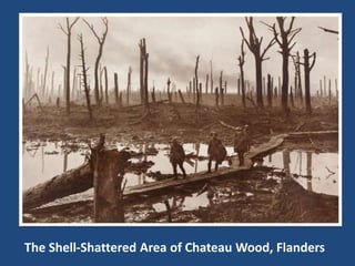 The Shell-Shattered Area of Chateau Wood, Flanders 
 
