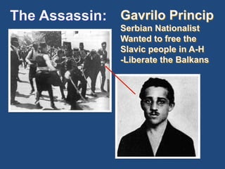 The Assassin: Gavrilo Princip 
Serbian Nationalist 
Wanted to free the 
Slavic people in A-H 
-Liberate the Balkans 
 