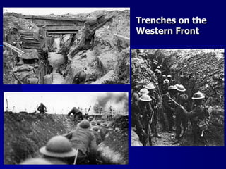 Trenches on the Western Front 