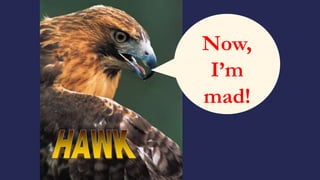 Now,
I’m
mad!
 