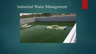 Industrial Water Management
 