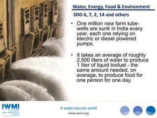 Water and the Sustainable Development Goals (SDGs)