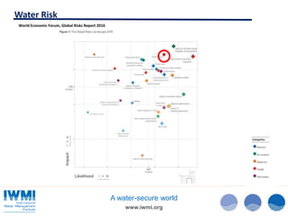 Water and the Sustainable Development Goals (SDGs)