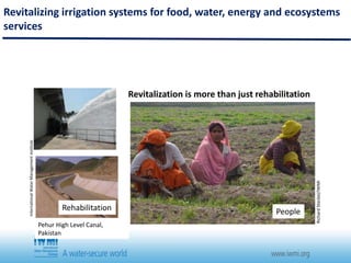 Water and the Sustainable Development Goals (SDGs)