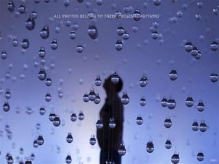 ALL PHOTOS BELONG TO THEIR ORIGINAL AUTHORS
 