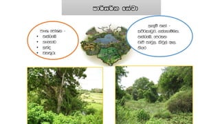 Lessons adoptable from ancient water management of Sri Lanka