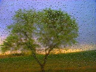 World Water Day 22 March