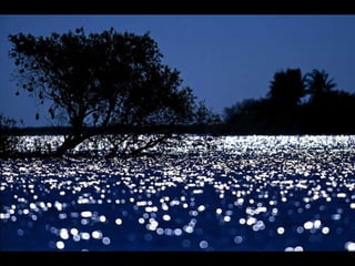 World Water Day 22 March