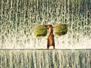 World Water Day 22 March