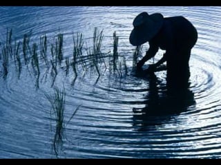 World Water Day March 22