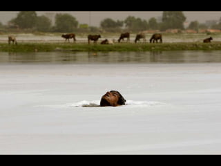 World Water Day March 22