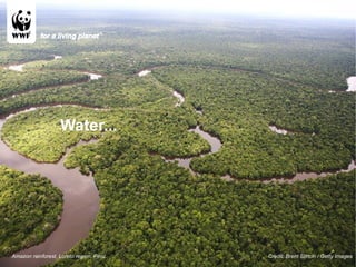Credit: Brent Stirton / Getty Images Water... Amazon rainforest, Loreto region, Peru. 