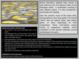 British Columbia's Spotted Lake, known as
Lake Khiluk by the First Nations tribes of the
Okanagan Valley, is landlocked, resulting in
salty, alkaline waters. It is also considered a
sacred place for healing.
Over the summer, much of the water dries,
leaving behind a lava lamp pattern of mineral
"spots" that can appear white, pale yellow,
green, or blue, depending on their
composition. These mini-islands consist
mostly of magnesium sulphate, which
crystallizes to form greyish walkways around
and between the spots.
SOME FACTS ABOUT SPOTTED LAKE
• Lake Khiluk is the most mineralized lake in the
world.
• The Okanagan tribe used the water in the spots to
treat conditions such as warts, skin disease, body
aches, and battle wounds.
• During World War I ammunition was made using minerals from Lake Khiluk.
• The most predominate mineral found in the spots is magnesium sulphate. There are plenty of calcium and sodium
sulphates too. Scientists have identified eight other minerals present in some of the spots. Four more minerals
were found in lesser quantities, among these four are silver and titanium.
• The lake measures 0.16 miles (.25 km) wide by 0.43 miles (.7 km) long with a combined shore length of just over
one mile (1.7 km).
• Lake Khiluk is considered a saline endorheic alkali lake.
ENDORHEIC LAKE (landlocked)
Endorheic lakes are bodies of water that do not flow into the sea.
 