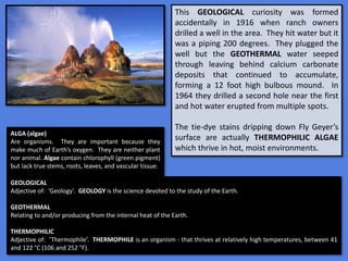 This GEOLOGICAL curiosity was formed
accidentally in 1916 when ranch owners
drilled a well in the area. They hit water but it
was a piping 200 degrees. They plugged the
well but the GEOTHERMAL water seeped
through leaving behind calcium carbonate
deposits that continued to accumulate,
forming a 12 foot high bulbous mound. In
1964 they drilled a second hole near the first
and hot water erupted from multiple spots.
The tie-dye stains dripping down Fly Geyer’s
surface are actually THERMOPHILIC ALGAE
which thrive in hot, moist environments.
ALGA (algae)
Are organisms. They are important because they
make much of Earth’s oxygen. They are neither plant
nor animal. Algae contain chlorophyll (green pigment)
but lack true stems, roots, leaves, and vascular tissue.
GEOLOGICAL
Adjective of: ‘Geology’. GEOLOGY is the science devoted to the study of the Earth.
GEOTHERMAL
Relating to and/or producing from the internal heat of the Earth.
THERMOPHILIC
Adjective of: ‘Thermophile’. THERMOPHILE is an organism - that thrives at relatively high temperatures, between 41
and 122 °C (106 and 252 °F).
 