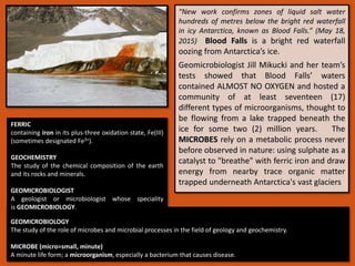 “New work confirms zones of liquid salt water
hundreds of metres below the bright red waterfall
in icy Antarctica, known as Blood Falls.” (May 18,
2015) Blood Falls is a bright red waterfall
oozing from Antarctica’s ice.
Geomicrobiologist Jill Mikucki and her team’s
tests showed that Blood Falls’ waters
contained ALMOST NO OXYGEN and hosted a
community of at least seventeen (17)
different types of microorganisms, thought to
be flowing from a lake trapped beneath the
ice for some two (2) million years. The
MICROBES rely on a metabolic process never
before observed in nature: using sulphate as a
catalyst to "breathe" with ferric iron and draw
energy from nearby trace organic matter
trapped underneath Antarctica's vast glaciers
GEOMICROBIOLOGY
The study of the role of microbes and microbial processes in the field of geology and geochemistry.
MICROBE (micro=small, minute)
A minute life form; a microorganism, especially a bacterium that causes disease.
FERRIC
containing iron in its plus-three oxidation state, Fe(III)
(sometimes designated Fe3+).
GEOCHEMISTRY
The study of the chemical composition of the earth
and its rocks and minerals.
GEOMICROBIOLOGIST
A geologist or microbiologist whose speciality
is GEOMICROBIOLOGY.
 