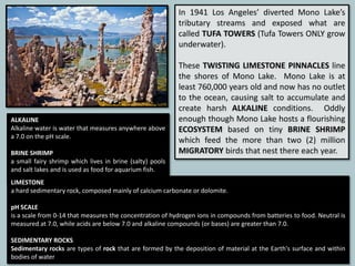 In 1941 Los Angeles’ diverted Mono Lake’s
tributary streams and exposed what are
called TUFA TOWERS (Tufa Towers ONLY grow
underwater).
These TWISTING LIMESTONE PINNACLES line
the shores of Mono Lake. Mono Lake is at
least 760,000 years old and now has no outlet
to the ocean, causing salt to accumulate and
create harsh ALKALINE conditions. Oddly
enough though Mono Lake hosts a flourishing
ECOSYSTEM based on tiny BRINE SHRIMP
which feed the more than two (2) million
MIGRATORY birds that nest there each year.
ALKALINE
Alkaline water is water that measures anywhere above
a 7.0 on the pH scale.
BRINE SHRIMP
a small fairy shrimp which lives in brine (salty) pools
and salt lakes and is used as food for aquarium fish.
LIMESTONE
a hard sedimentary rock, composed mainly of calcium carbonate or dolomite.
pH SCALE
is a scale from 0-14 that measures the concentration of hydrogen ions in compounds from batteries to food. Neutral is
measured at 7.0, while acids are below 7.0 and alkaline compounds (or bases) are greater than 7.0.
SEDIMENTARY ROCKS
Sedimentary rocks are types of rock that are formed by the deposition of material at the Earth's surface and within
bodies of water
 
