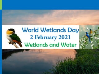 World Wetlands Day
Wetlands and Water
 