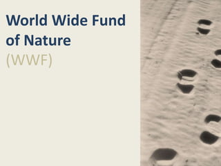 World Wide Fund
of Nature
(WWF)
 