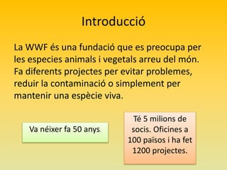 Introducció
La WWF és una fundació que es preocupa per
les especies animals i vegetals arreu del món.
Fa diferents projectes per evitar problemes,
reduir la contaminació o simplement per
mantenir una espècie viva.
Va néixer fa 50 anys.

Té 5 milions de
socis. Oficines a
100 països i ha fet
1200 projectes.

 