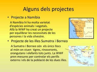 Alguns dels projectes
• Projecte a Namíbia
A Namíbia hi ha molta varietat
d’espècies animals i vegetals.
Allà la WWF ha creat un projecte
per equilibrar les necessitats de les
persones i la vida silvestre.

• Projecte de les illes Sumatra i Borneo
A Sumatra i Borneo són els únics llocs
al món on viuen tigres, rinoceronts,
orangutans i elefants tots junts. La WWF
pren mesures per controlar els perills
externs i els de la població de les dues illes.

 