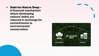 Environmental Debt World Wide Fund for Nature final WWF & Environmental Conservation for ...