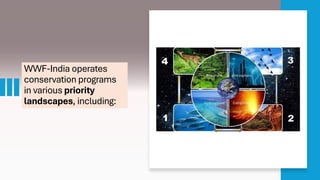 Wwf Programs World Wide Fund for Nature final WWF & Environmental Conservation for ...