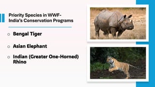 Wwf Programs World Wide Fund for Nature final WWF & Environmental Conservation for ...