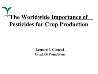 The Worldwide Importance of
Pesticides for Crop Production



         Leonard P. Gianessi
         CropLife Foundation
 