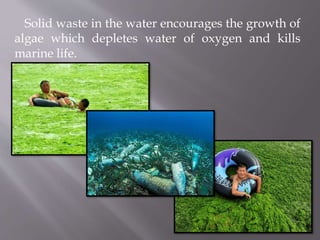 Solid waste in the water encourages the growth of
algae which depletes water of oxygen and kills
marine life.
 