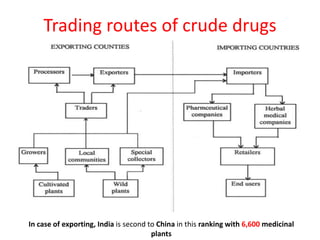 Trading routes of crude drugs
In case of exporting, India is second to China in this ranking with 6,600 medicinal
plants
 