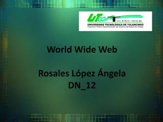 World Wide WebRosales López ÁngelaDN_12  