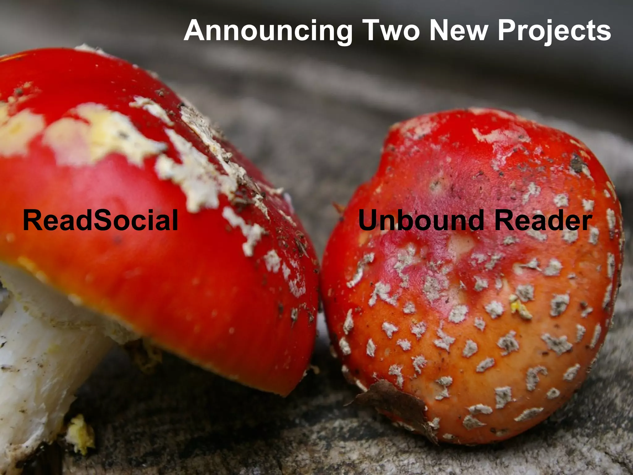 ReadSocial Unbound Reader
Announcing Two New Projects
 