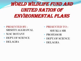 WORLD WILDLIFE FUND AND
UNITED nation OF
ENVIRONMENTAL PLANS
 PRESENTED BY :
SRISHTI AGGRAWAL
 M.SC BOTANY
 DEPT.OF SCIENCE
 DEI,AGRA
 PRESENTED TO :
SHUKLA SIR
 PROFESSOR
 DEPT.OF SCIENCE
 DEI,AGRA
 