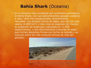 Bahía Shark (Oceania)
 En el extremo más occidental del continente australiano,
la Bahía Shark, con sus deslumbrantes paisajes costeros
e islas, tiene tres excepcionales características
naturales: sus amplios lechos de algas, que son los más
vastos (4.800 km2) y más ricos en especies del mundo;
su población de dugongos (calculada en 11.000
especímenes); y sus estromatolitos (colonias de algas
que forman depósitos firmes con forma de bóveda y se
incluyen entre las más antiguas formas de vida del
planeta).
 