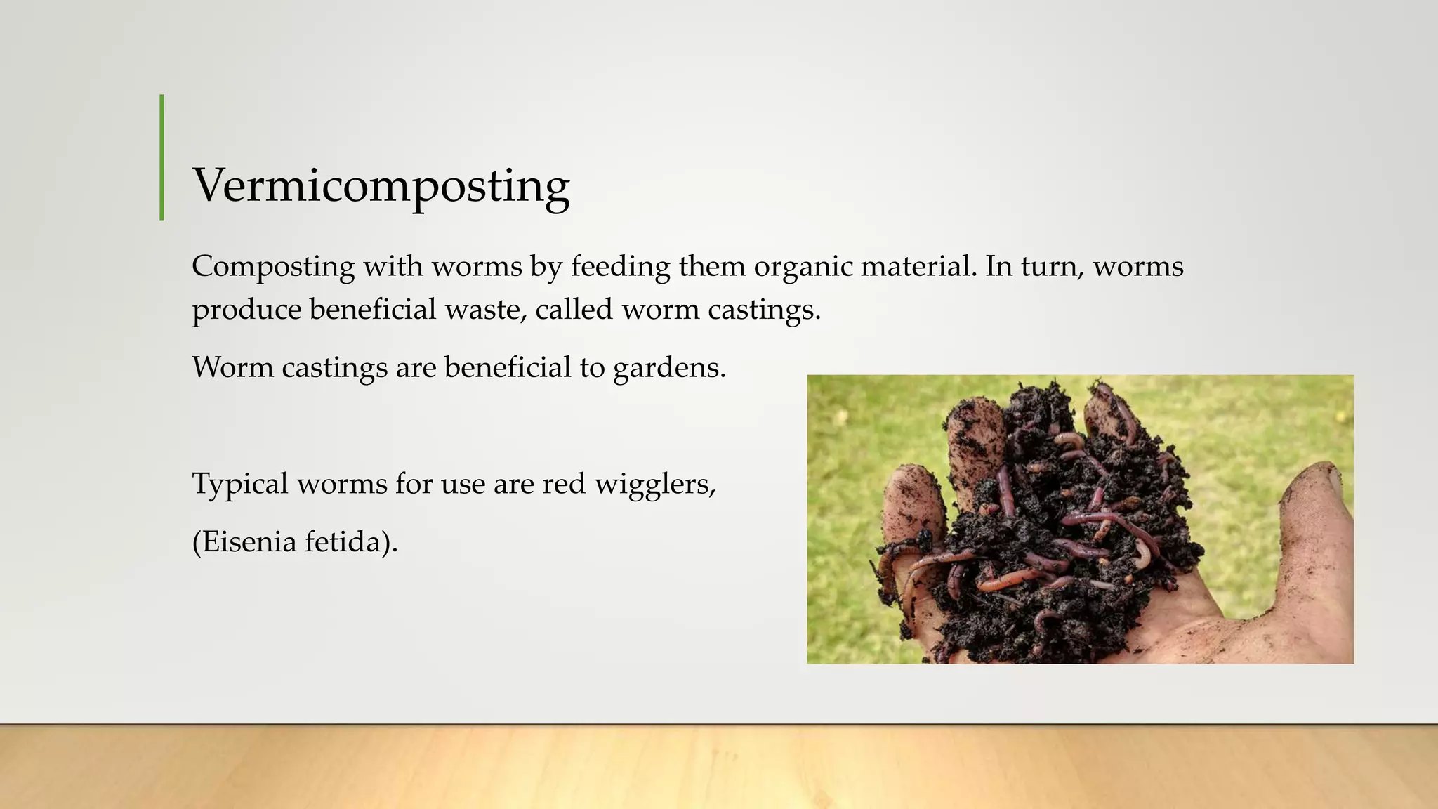 How To Start Worm Composting Ppt