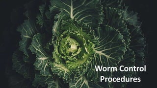 Worm Control
Procedures
 