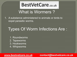 Guide to Dog & Cat Wormers