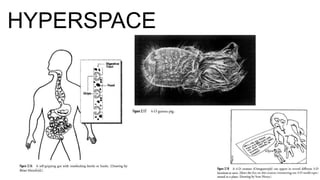 HYPERSPACE
 