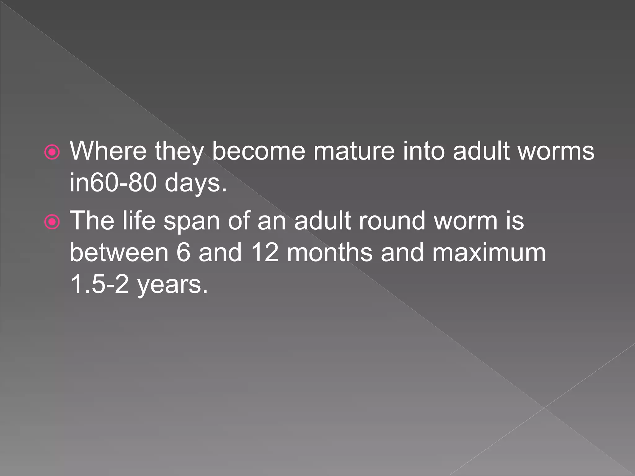  Where they become mature into adult worms
in60-80 days.
The life span of an adult round worm is
between 6 and 12 months and maximum
1.5-2 years.