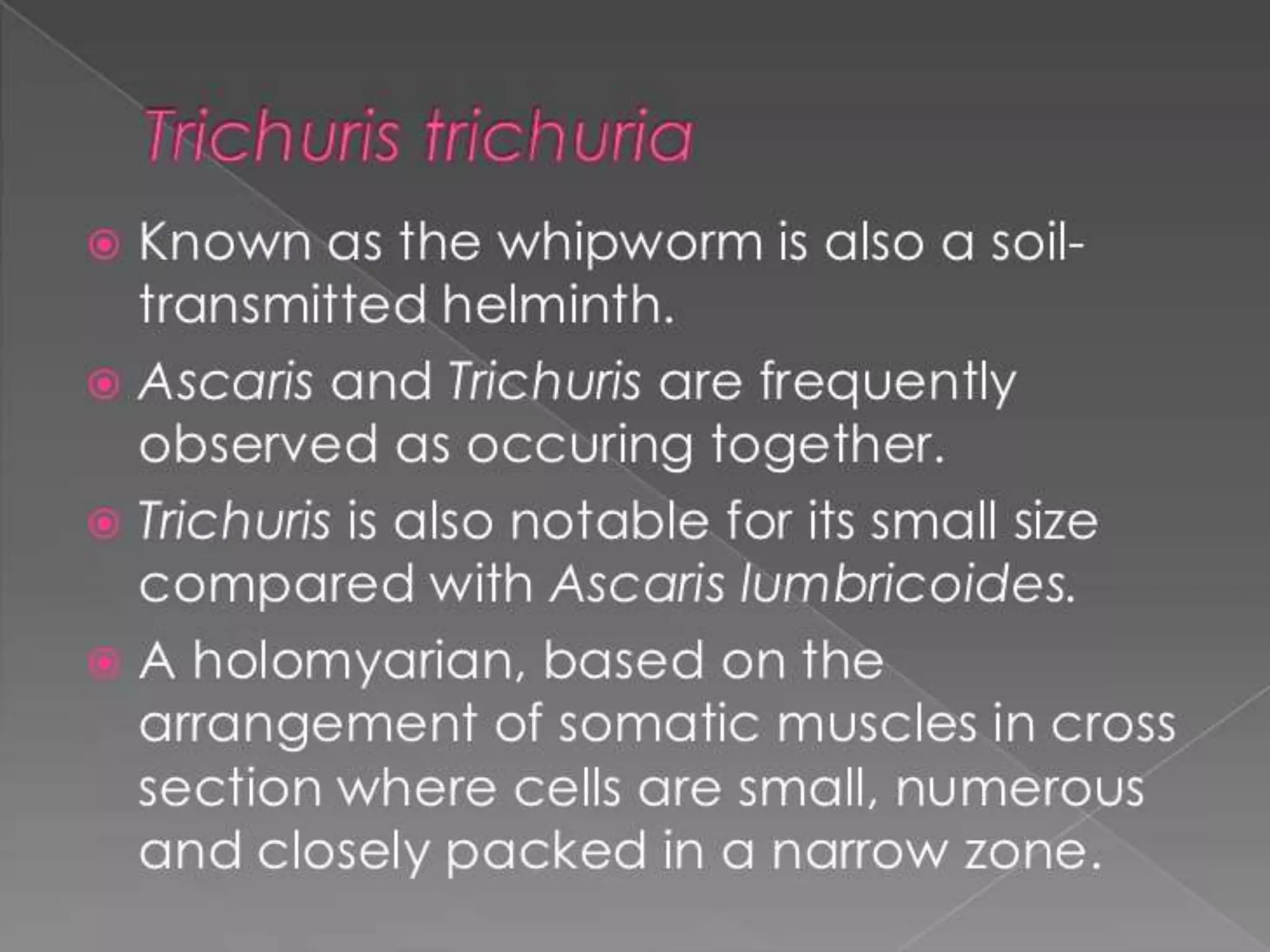 Worm infestation:tape worm and hook worm