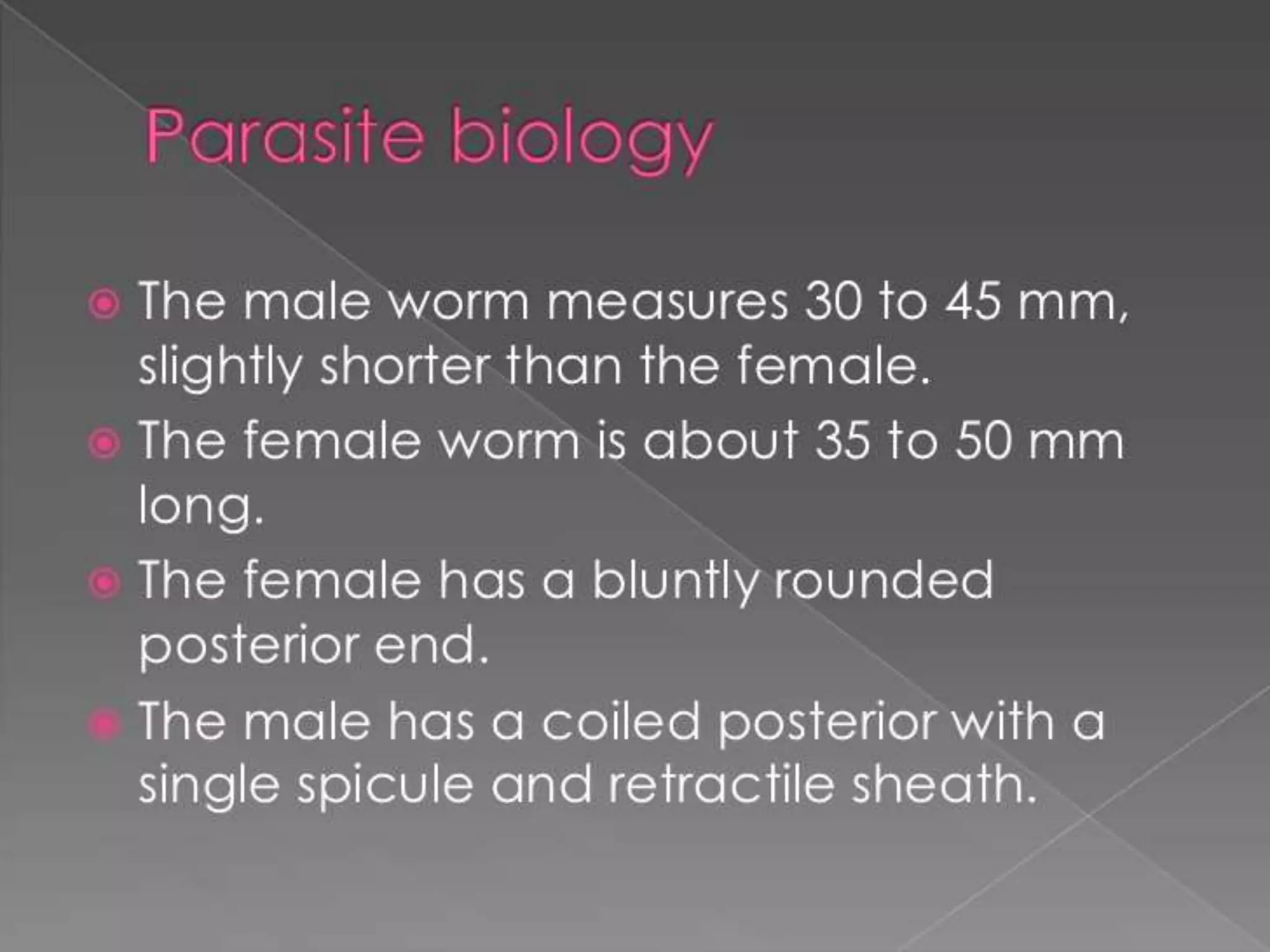 Worm infestation:tape worm and hook worm